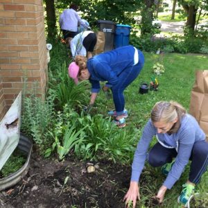 YWCA Volunteers